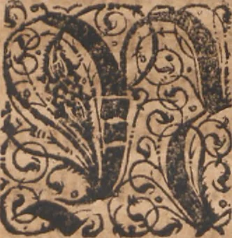 An illustration from Das vierdte Buch von der Neuwen Welt. Oder Neuwe vnd gründtliche Historien, von dem Nidergängischen Indien, so von Christophoro Columbo im Jar 1492 erstlich erfunden, 1594, leaf 129