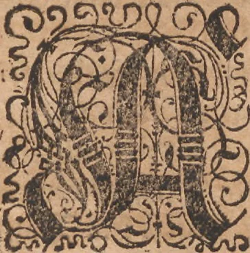 An illustration from Das vierdte Buch von der Neuwen Welt. Oder Neuwe vnd gründtliche Historien, von dem Nidergängischen Indien, so von Christophoro Columbo im Jar 1492 erstlich erfunden, 1594, leaf 136