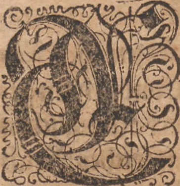 An illustration from Das vierdte Buch von der Neuwen Welt. Oder Neuwe vnd gründtliche Historien, von dem Nidergängischen Indien, so von Christophoro Columbo im Jar 1492 erstlich erfunden, 1594, leaf 139