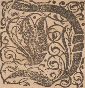 An illustration from Das vierdte Buch von der Neuwen Welt. Oder Neuwe vnd gründtliche Historien, von dem Nidergängischen Indien, so von Christophoro Columbo im Jar 1492 erstlich erfunden, 1594, leaf 177