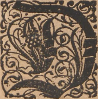 An illustration from Das vierdte Buch von der Neuwen Welt. Oder Neuwe vnd gründtliche Historien, von dem Nidergängischen Indien, so von Christophoro Columbo im Jar 1492 erstlich erfunden, 1594, leaf 179