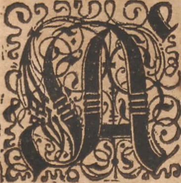 An illustration from Das vierdte Buch von der Neuwen Welt. Oder Neuwe vnd gründtliche Historien, von dem Nidergängischen Indien, so von Christophoro Columbo im Jar 1492 erstlich erfunden, 1594, leaf 181