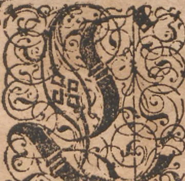 An illustration from Das vierdte Buch von der Neuwen Welt. Oder Neuwe vnd gründtliche Historien, von dem Nidergängischen Indien, so von Christophoro Columbo im Jar 1492 erstlich erfunden, 1594, leaf 191