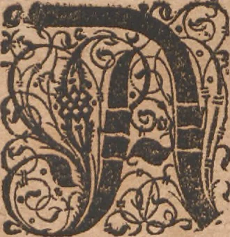 An illustration from Das vierdte Buch von der Neuwen Welt. Oder Neuwe vnd gründtliche Historien, von dem Nidergängischen Indien, so von Christophoro Columbo im Jar 1492 erstlich erfunden, 1594, leaf 199
