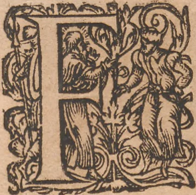 An illustration from Das vierdte Buch von der Neuwen Welt. Oder Neuwe vnd gründtliche Historien, von dem Nidergängischen Indien, so von Christophoro Columbo im Jar 1492 erstlich erfunden, 1594, leaf 201
