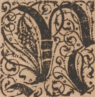An illustration from Das vierdte Buch von der Neuwen Welt. Oder Neuwe vnd gründtliche Historien, von dem Nidergängischen Indien, so von Christophoro Columbo im Jar 1492 erstlich erfunden, 1594, leaf 209