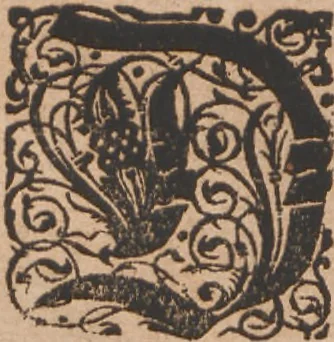 An illustration from Das vierdte Buch von der Neuwen Welt. Oder Neuwe vnd gründtliche Historien, von dem Nidergängischen Indien, so von Christophoro Columbo im Jar 1492 erstlich erfunden, 1594, leaf 211