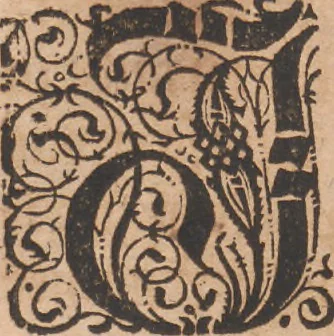 An illustration from Das vierdte Buch von der Neuwen Welt. Oder Neuwe vnd gründtliche Historien, von dem Nidergängischen Indien, so von Christophoro Columbo im Jar 1492 erstlich erfunden, 1594, leaf 25