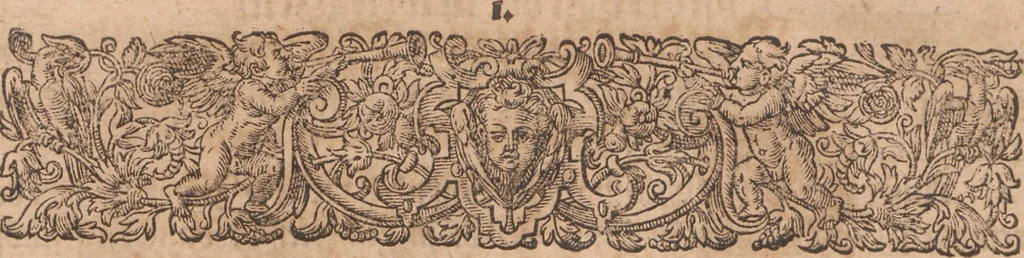 An illustration from Das vierdte Buch von der Neuwen Welt. Oder Neuwe vnd gründtliche Historien, von dem Nidergängischen Indien, so von Christophoro Columbo im Jar 1492 erstlich erfunden, 1594, leaf 27