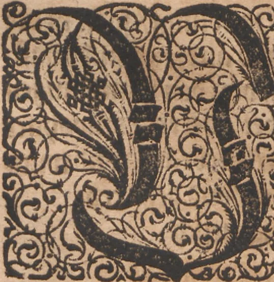 An illustration from Das vierdte Buch von der Neuwen Welt. Oder Neuwe vnd gründtliche Historien, von dem Nidergängischen Indien, so von Christophoro Columbo im Jar 1492 erstlich erfunden, 1594, leaf 27