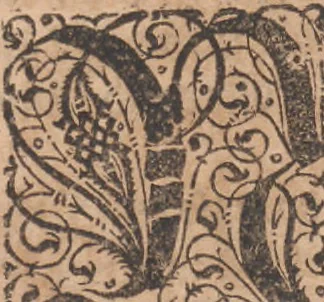 An illustration from Das vierdte Buch von der Neuwen Welt. Oder Neuwe vnd gründtliche Historien, von dem Nidergängischen Indien, so von Christophoro Columbo im Jar 1492 erstlich erfunden, 1594, leaf 29