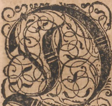 An illustration from Das vierdte Buch von der Neuwen Welt. Oder Neuwe vnd gründtliche Historien, von dem Nidergängischen Indien, so von Christophoro Columbo im Jar 1492 erstlich erfunden, 1594, leaf 47