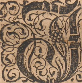 An illustration from Das vierdte Buch von der Neuwen Welt. Oder Neuwe vnd gründtliche Historien, von dem Nidergängischen Indien, so von Christophoro Columbo im Jar 1492 erstlich erfunden, 1594, leaf 60