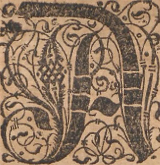 An illustration from Das vierdte Buch von der Neuwen Welt. Oder Neuwe vnd gründtliche Historien, von dem Nidergängischen Indien, so von Christophoro Columbo im Jar 1492 erstlich erfunden, 1594, leaf 63
