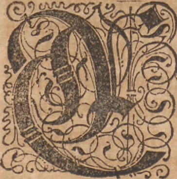 An illustration from Das vierdte Buch von der Neuwen Welt. Oder Neuwe vnd gründtliche Historien, von dem Nidergängischen Indien, so von Christophoro Columbo im Jar 1492 erstlich erfunden, 1594, leaf 76