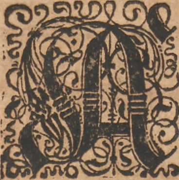 An illustration from Das vierdte Buch von der Neuwen Welt. Oder Neuwe vnd gründtliche Historien, von dem Nidergängischen Indien, so von Christophoro Columbo im Jar 1492 erstlich erfunden, 1594, leaf 92