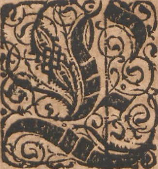 An illustration from Das vierdte Buch von der Neuwen Welt. Oder Neuwe vnd gründtliche Historien, von dem Nidergängischen Indien, so von Christophoro Columbo im Jar 1492 erstlich erfunden, 1594, leaf 99