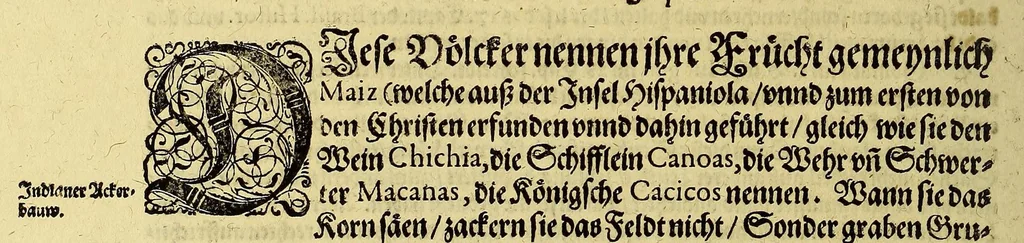 An illustration from Das vierdte Buch von der Neuwen Welt. : Oder neuwe und gründtliche Historien, von dem Nidergängischen Indien, so von Christophoro Columbo im Jar 1492. erstlich erfunden., 1594, leaf 156