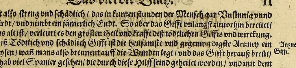 An illustration from Das vierdte Buch von der Neuwen Welt. : Oder neuwe und gründtliche Historien, von dem Nidergängischen Indien, so von Christophoro Columbo im Jar 1492. erstlich erfunden., 1594, leaf 37