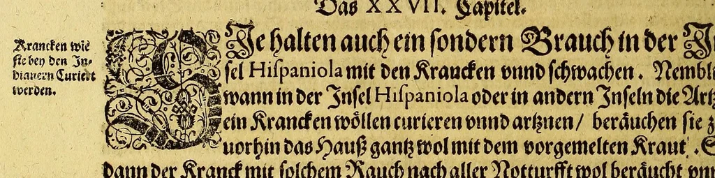An illustration from Das vierdte Buch von der Neuwen Welt. : Oder neuwe und gründtliche Historien, von dem Nidergängischen Indien, so von Christophoro Columbo im Jar 1492. erstlich erfunden., 1594, leaf 154