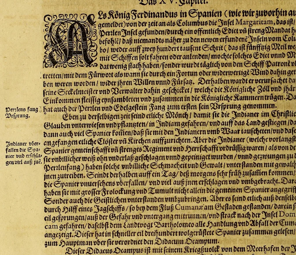 An illustration from Das vierdte Buch von der Neuwen Welt. : Oder neuwe und gründtliche Historien, von dem Nidergängischen Indien, so von Christophoro Columbo im Jar 1492. erstlich erfunden., 1594, leaf 96