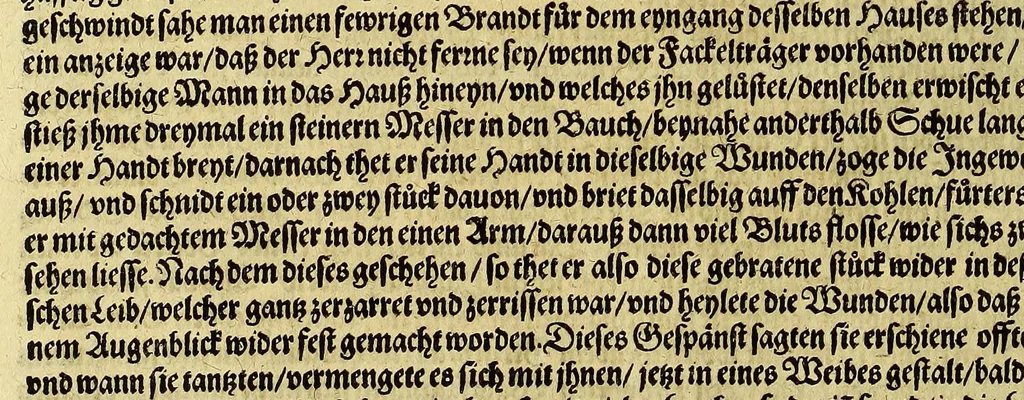 An illustration from Das vierdte Buch von der Neuwen Welt. : Oder neuwe und gründtliche Historien, von dem Nidergängischen Indien, so von Christophoro Columbo im Jar 1492. erstlich erfunden., 1613, leaf 148