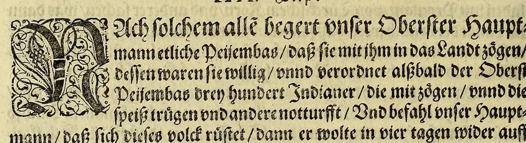 An illustration from Das VII. Theil Americae. : Warhafftige vnnd liebliche Beschreibung etlicher fürnemmen Indianischen Landschafften vnd Insulen, die vormals in keiner Chronicken gedacht vnd erstlich in der Schiffart, 1599, leaf 28