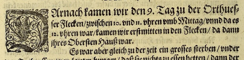 An illustration from Das VII. Theil Americae. : Warhafftige vnnd liebliche Beschreibung etlicher fürnemmen Indianischen Landschafften vnd Insulen, die vormals in keiner Chronicken gedacht vnd erstlich in der Schiffart, 1599, leaf 42