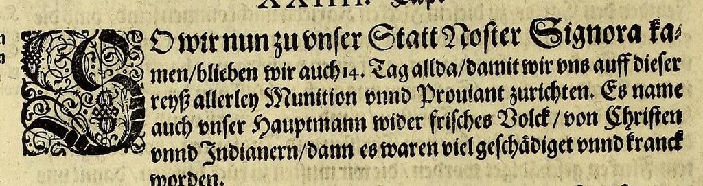 An illustration from Das VII. Theil Americae. : Warhafftige vnnd liebliche Beschreibung etlicher fürnemmen Indianischen Landschafften vnd Insulen, die vormals in keiner Chronicken gedacht vnd erstlich in der Schiffart, 1599, leaf 50