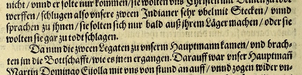 An illustration from Das VII. Theil Americae. : Warhafftige vnnd liebliche Beschreibung etlicher fürnemmen Indianischen Landschafften vnd Insulen, die vormals in keiner Chronicken gedacht vnd erstlich in der Schiffart, 1599, leaf 50