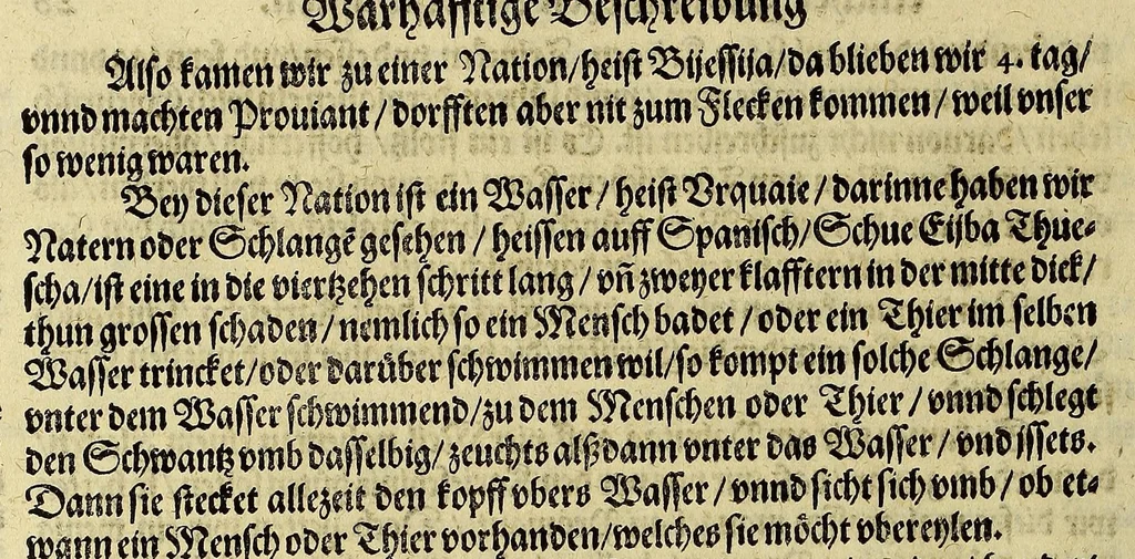 An illustration from Das VII. Theil Americae. : Warhafftige vnnd liebliche Beschreibung etlicher fürnemmen Indianischen Landschafften vnd Insulen, die vormals in keiner Chronicken gedacht vnd erstlich in der Schiffart, 1599, leaf 66