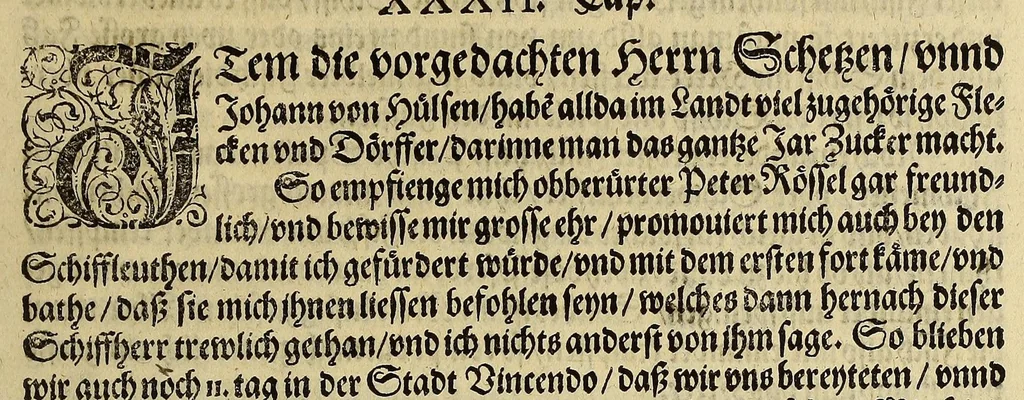 An illustration from Das VII. Theil Americae. : Warhafftige vnnd liebliche Beschreibung etlicher fürnemmen Indianischen Landschafften vnd Insulen, die vormals in keiner Chronicken gedacht vnd erstlich in der Schiffart, 1599, leaf 67