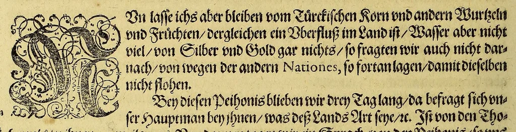 An illustration from Das VII. Theil Americae. : Warhafftige vnd liebliche Beschreibung, etlicher fürnemmen Indianischen Landschafften vnd Insulen, die vormals in keiner Chronicken gedacht und erstlich in der Schiffahrt, 1617, leaf 46