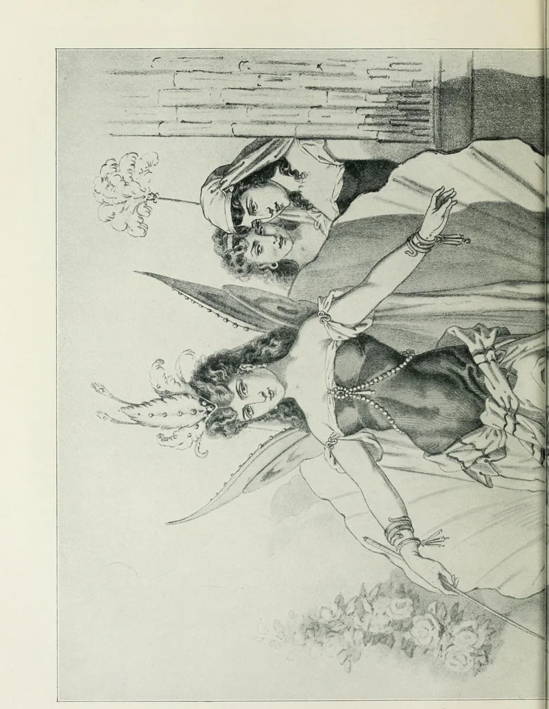 An illustration from Das Weib in der Karikatur Frankreichs : mit 448 Textillustrationen und 72 farbigen Kunstblättern nach seltenen und amüsanten französischen Karikaturen aus allen Zeitepochen, 1907, leaf 240