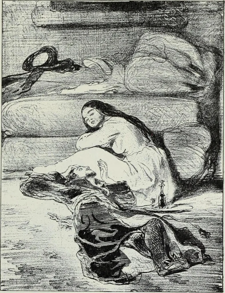 An illustration from Das Weib in der Karikatur Frankreichs : mit 448 Textillustrationen und 72 farbigen Kunstblättern nach seltenen und amüsanten französischen Karikaturen aus allen Zeitepochen, 1907, leaf 275