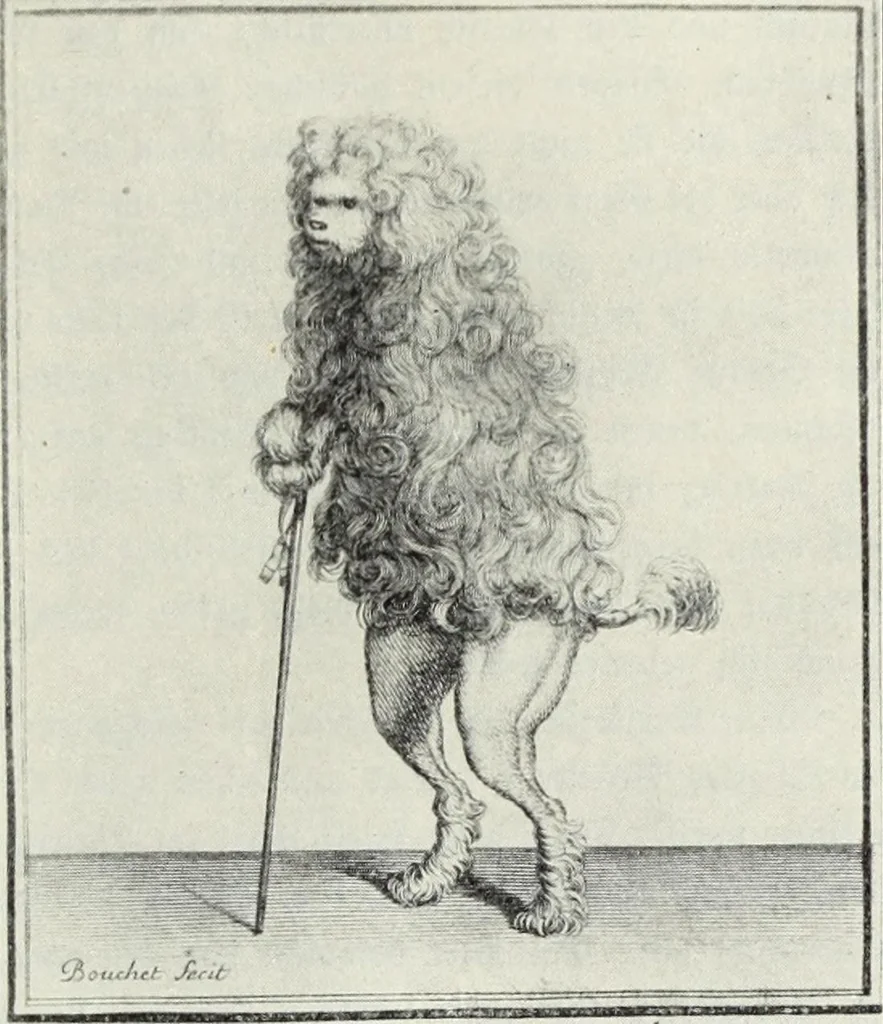 An illustration from Das Weib in der Karikatur Frankreichs : mit 448 Textillustrationen und 72 farbigen Kunstblättern nach seltenen und amüsanten französischen Karikaturen aus allen Zeitepochen, 1907, leaf 413