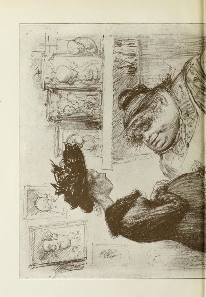 An illustration from Das Weib in der Karikatur Frankreichs : mit 448 Textillustrationen und 72 farbigen Kunstblättern nach seltenen und amüsanten französischen Karikaturen aus allen Zeitepochen, 1907, leaf 46