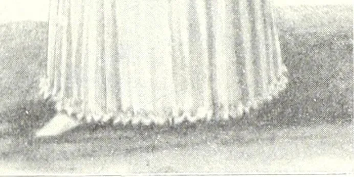 An illustration from Das Weib in der Karikatur Frankreichs : mit 448 Textillustrationen und 72 farbigen Kunstblättern nach seltenen und amüsanten französischen Karikaturen aus allen Zeitepochen, 1907, leaf 535