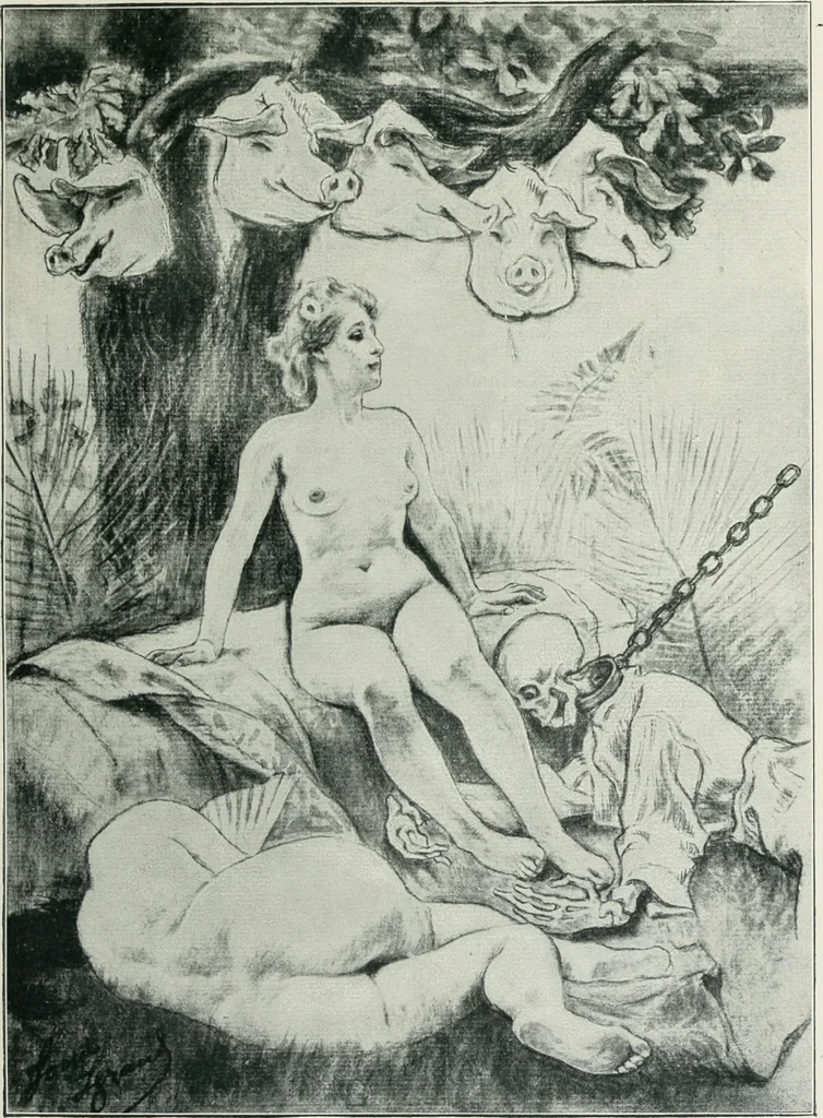 An illustration from Das Weib in der Karikatur Frankreichs : mit 448 Textillustrationen und 72 farbigen Kunstblättern nach seltenen und amüsanten französischen Karikaturen aus allen Zeitepochen, 1907, leaf 67