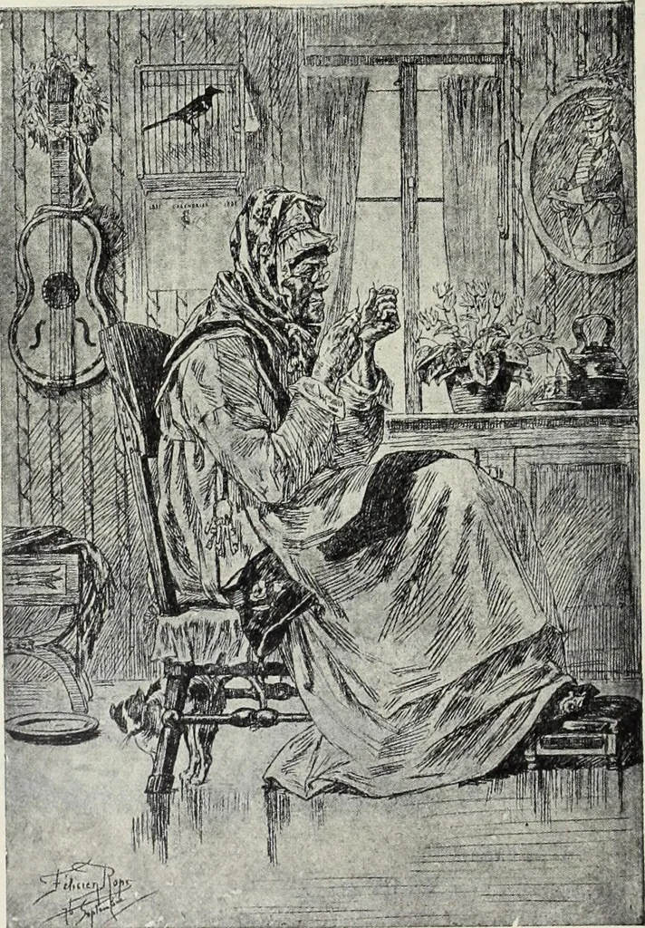 An illustration from Das Weib in der Karikatur Frankreichs : mit 448 Textillustrationen und 72 farbigen Kunstblättern nach seltenen und amüsanten französischen Karikaturen aus allen Zeitepochen, 1907, leaf 716