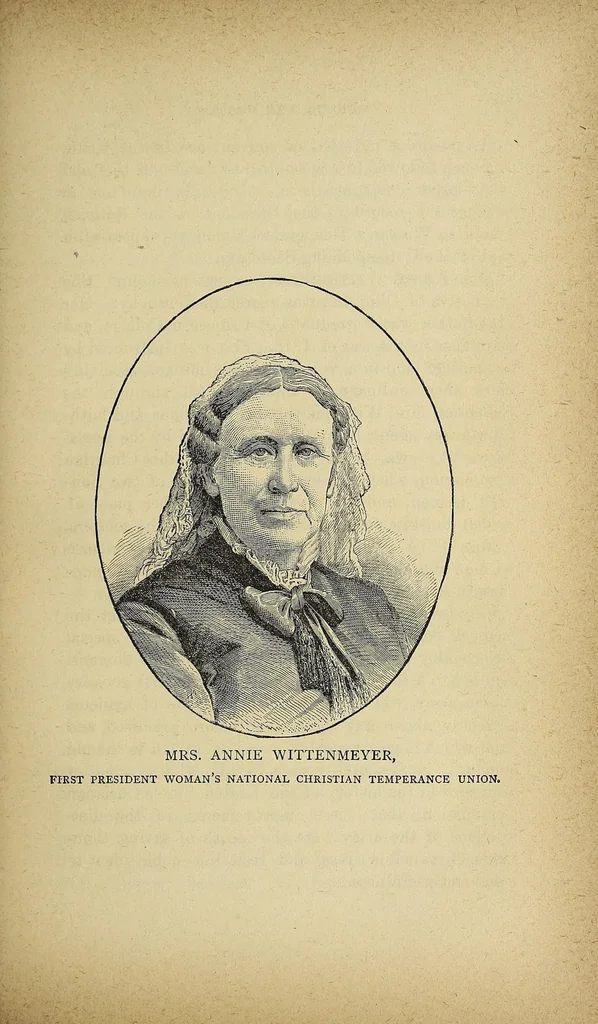 An illustration from Daughters of America; or, Women of the century, 1883, leaf 379