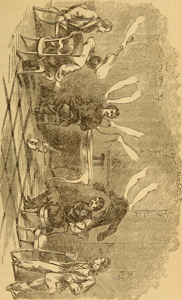 An illustration from The Davenport brothers, 1869, leaf 318