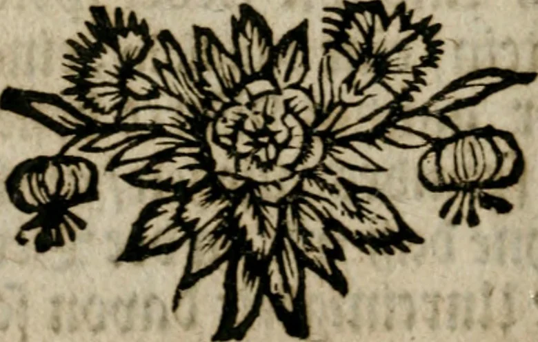 An illustration from David Beuthers Universal und Particularia : worin die Verwandelung geringer Metalle in Gold und Silber klahr und deutlich gelehret wird : nebst einem Anhange von unvergleichlich curieusen Alchymischen Kupffern, darin die Kunst von Anfang bis zum Ende vorgemahlet ist : und einer Vorrede von Beuthers Person und Schrifften Dr. Joh. Christoph Sprögels .., 1718, leaf 29