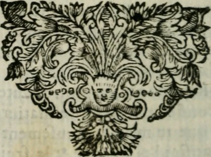 An illustration from David, poème héroïque, 1660, leaf 351