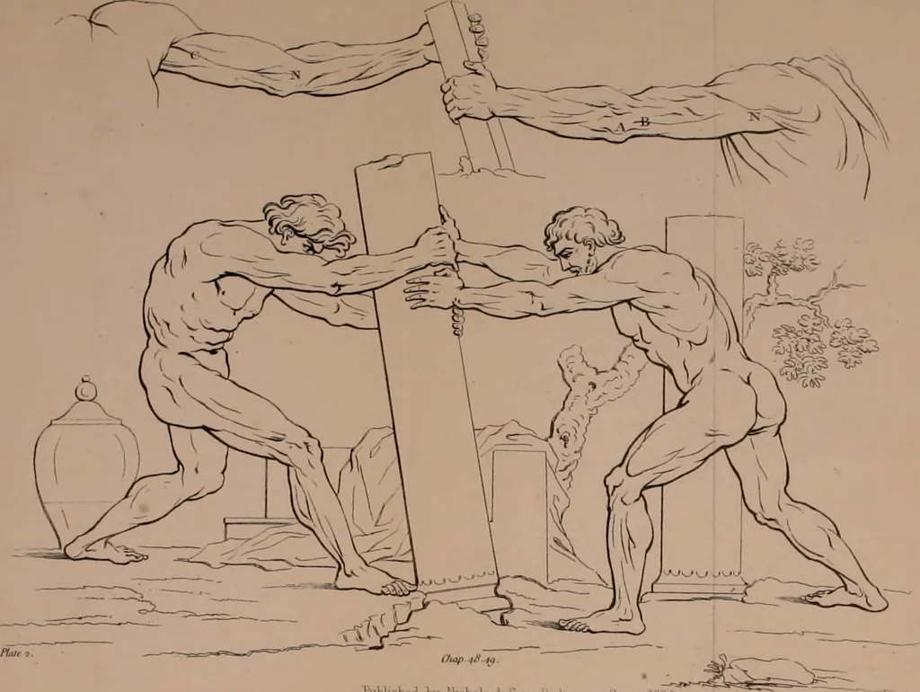 An illustration from A treatise on painting, 1835, leaf 356