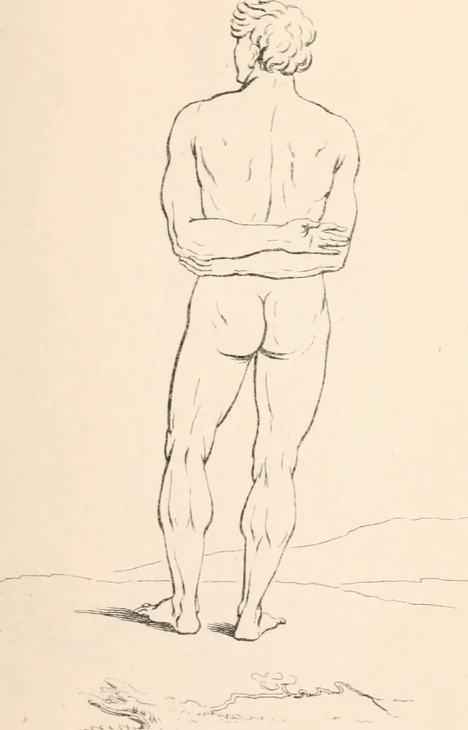 An illustration from A treatise on painting, 1835, leaf 357