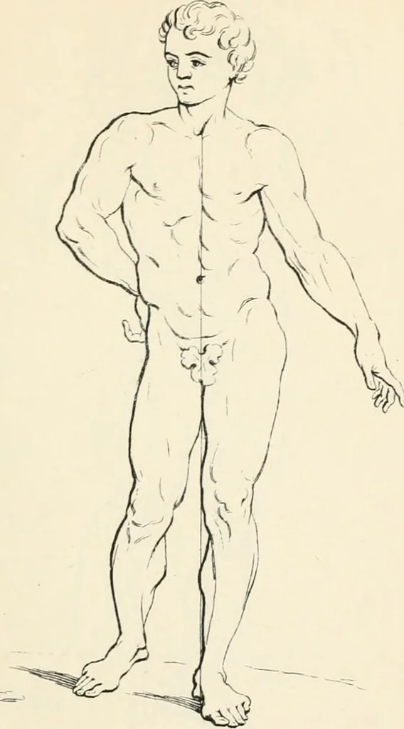 An illustration from A treatise on painting, 1835, leaf 369