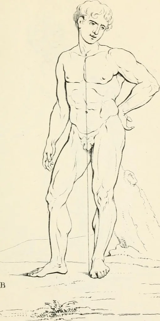 An illustration from A treatise on painting, 1835, leaf 373