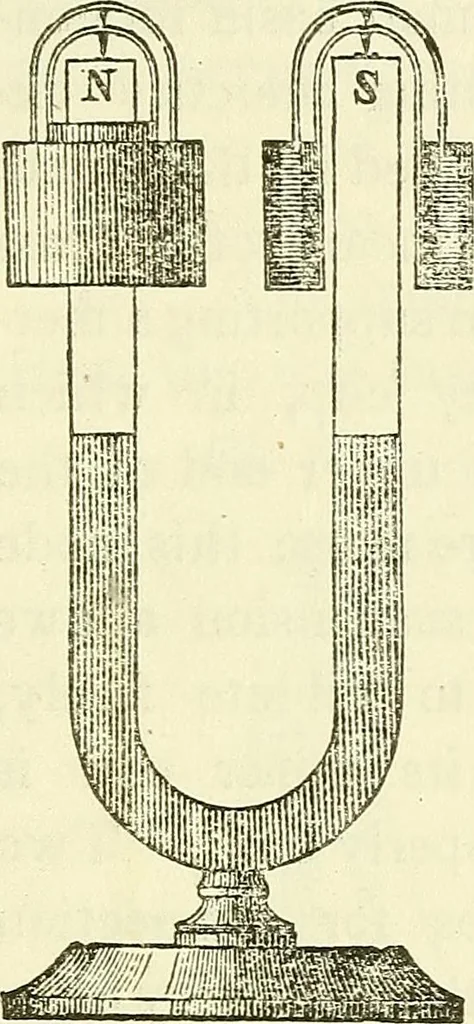 An illustration from Davis's manual of magnetism : including galvanism, magnetism, electro-magnetism, electro-dynamics, magneto-electricity, and thermo-electricity, 1854, leaf 126