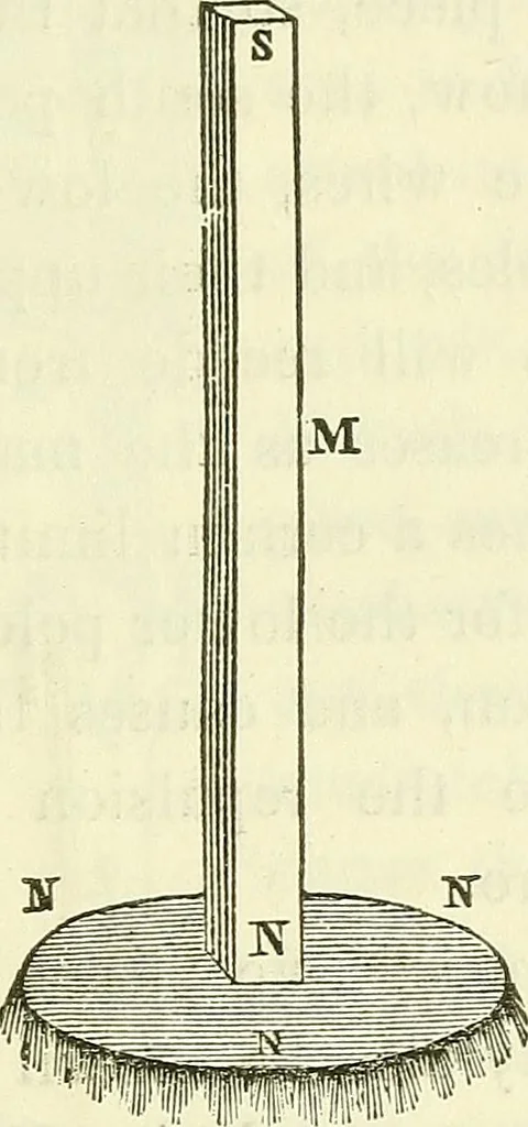 An illustration from Davis's manual of magnetism : including galvanism, magnetism, electro-magnetism, electro-dynamics, magneto-electricity, and thermo-electricity, 1854, leaf 158